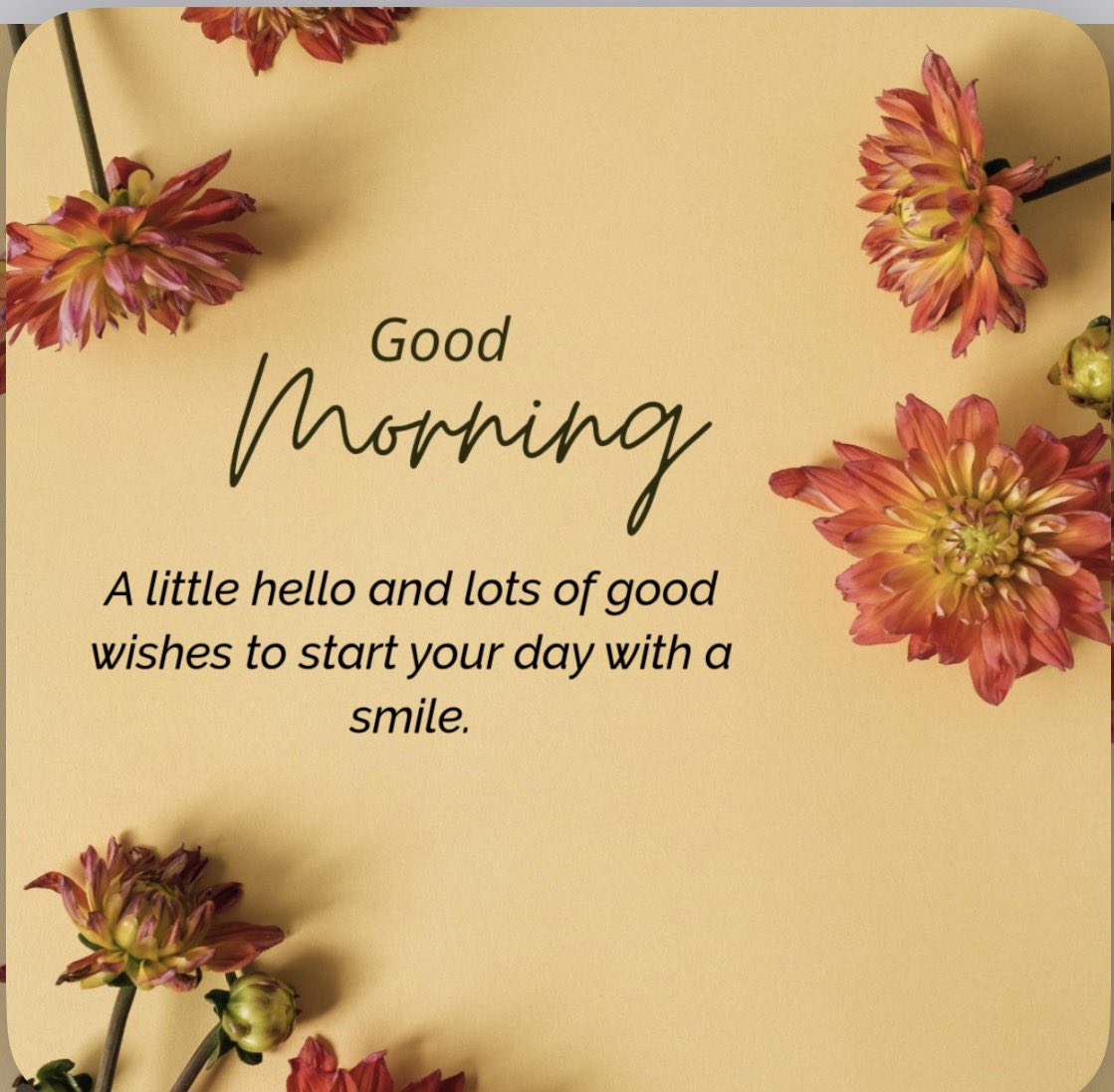 Rê_Naty tweet media