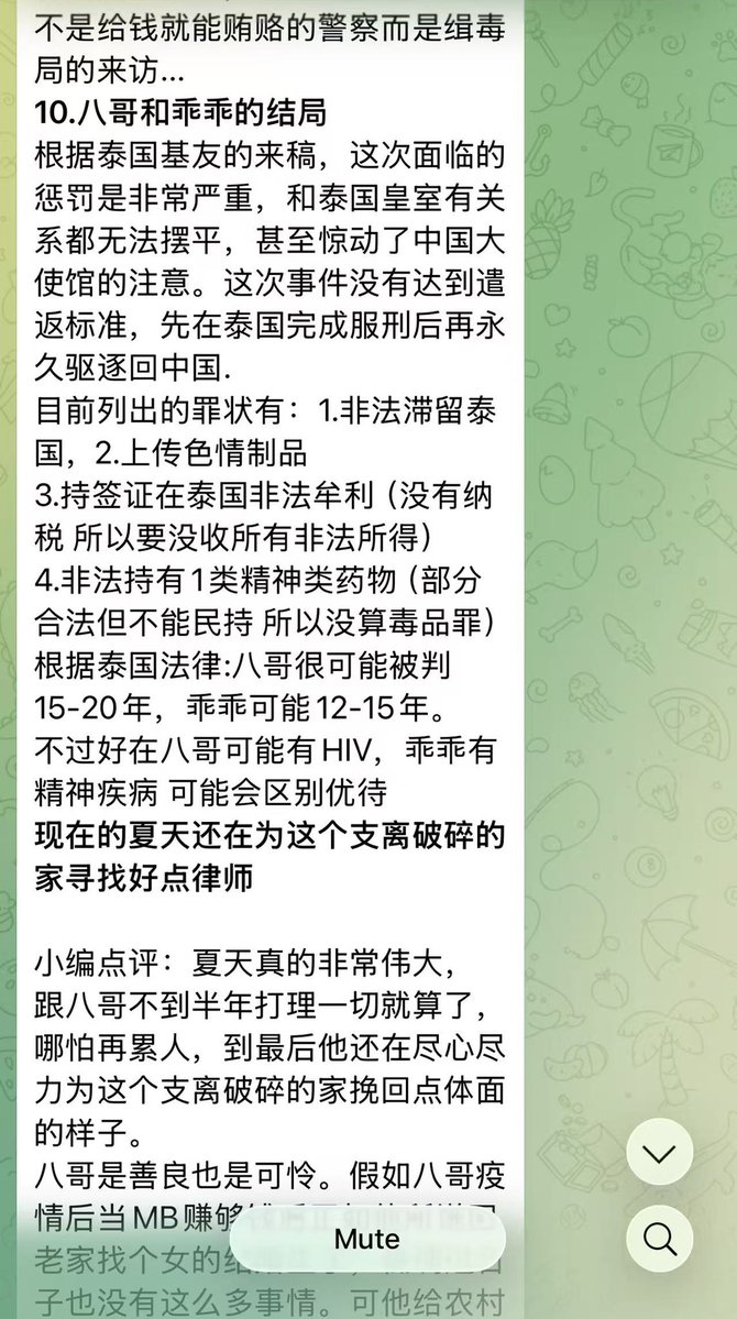 暹罗飞鸟 tweet media