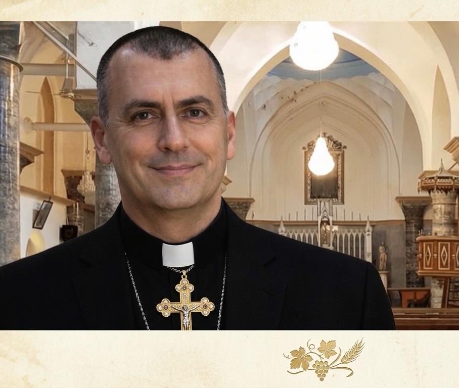 Safeen Dizayee tweet media