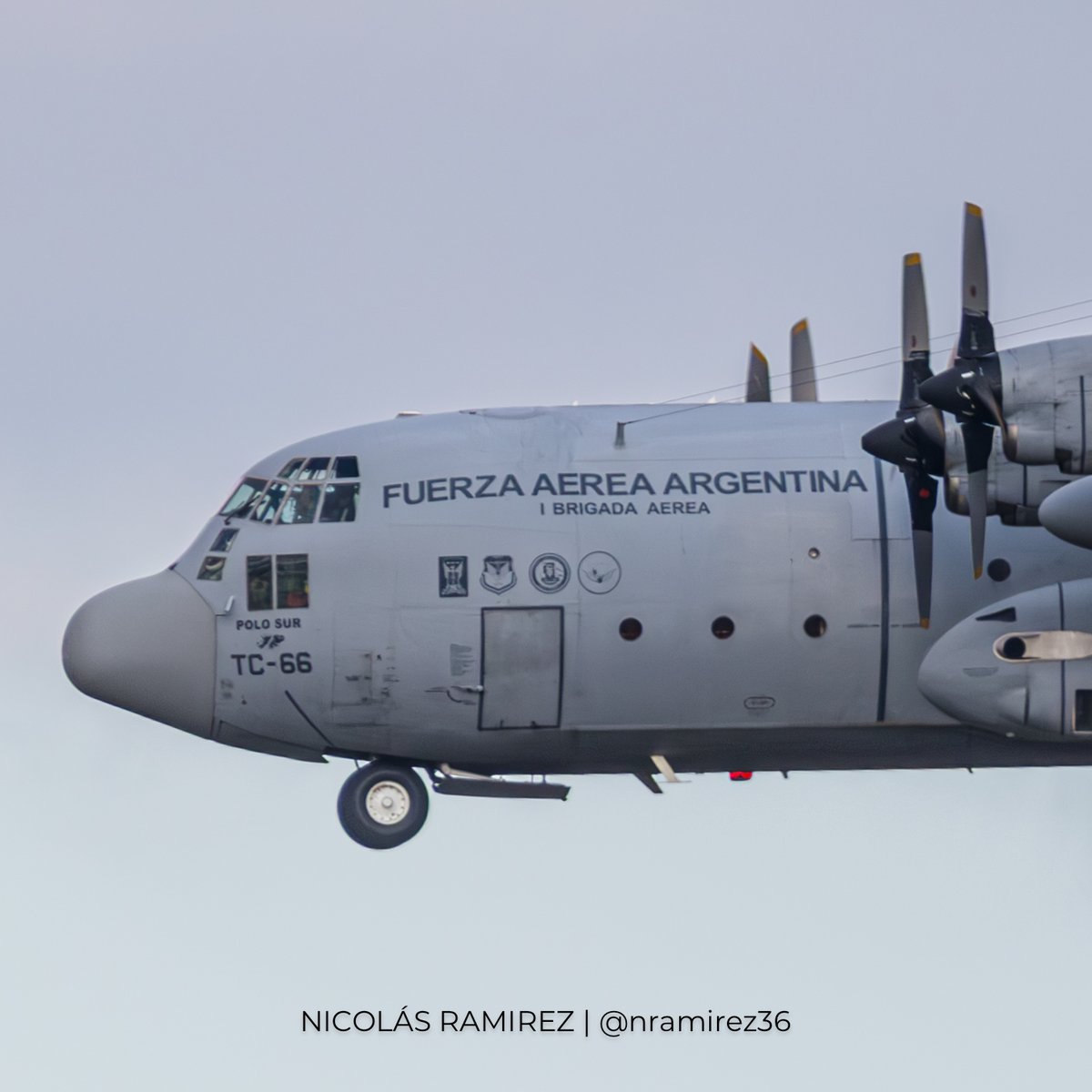 Nicolas Ramirez tweet media