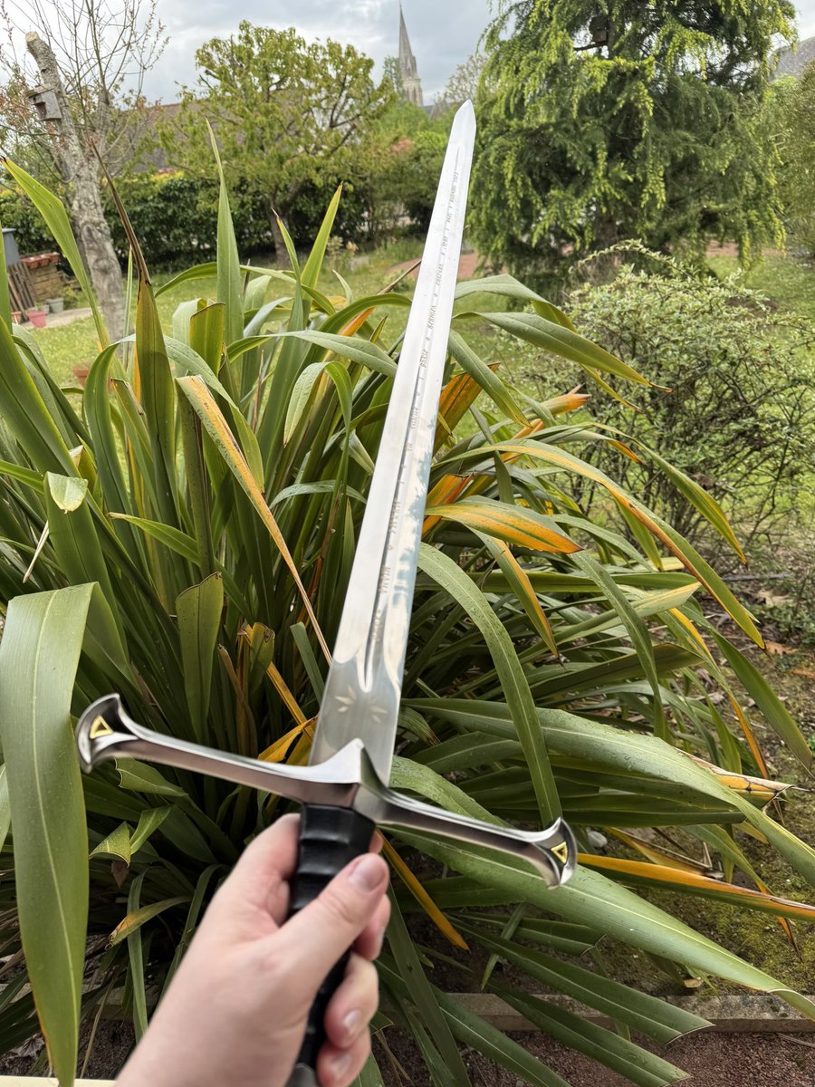 ‎‎NUSU 🐇 tweet media