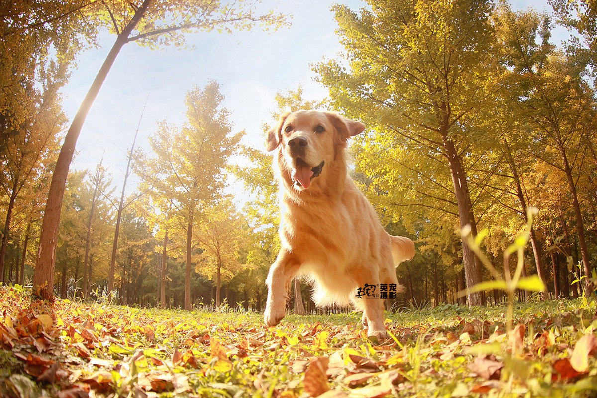 Twitty_B tweet media