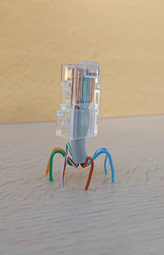 雪秋小可爱 tweet media