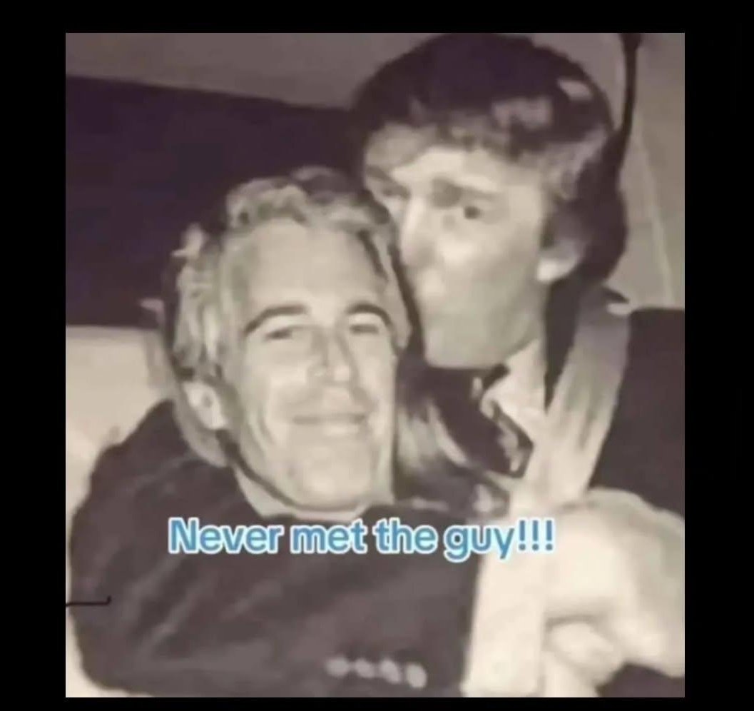 Shelly Hart tweet media