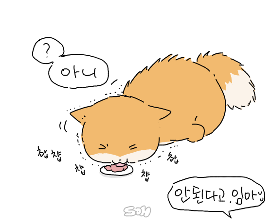 일단 먹고 보는 케냥이