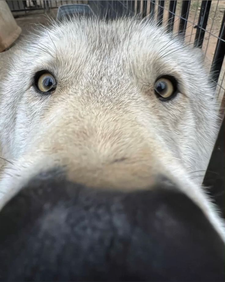 Broowester tweet media