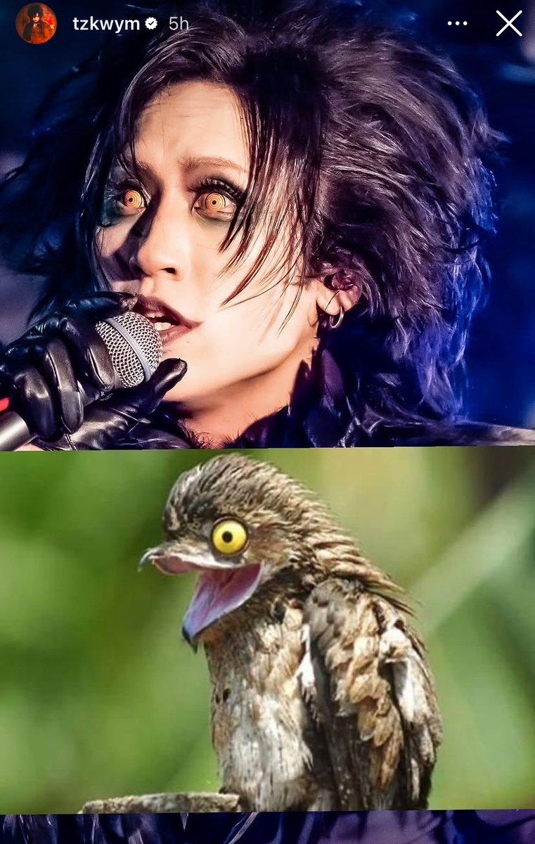 ⊹ serina 🥀 tweet media