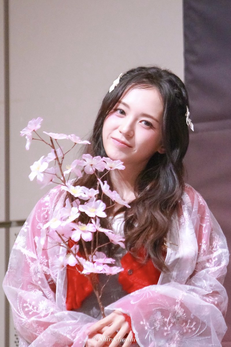 𝑚𝑜𝑚𝑜 tweet media