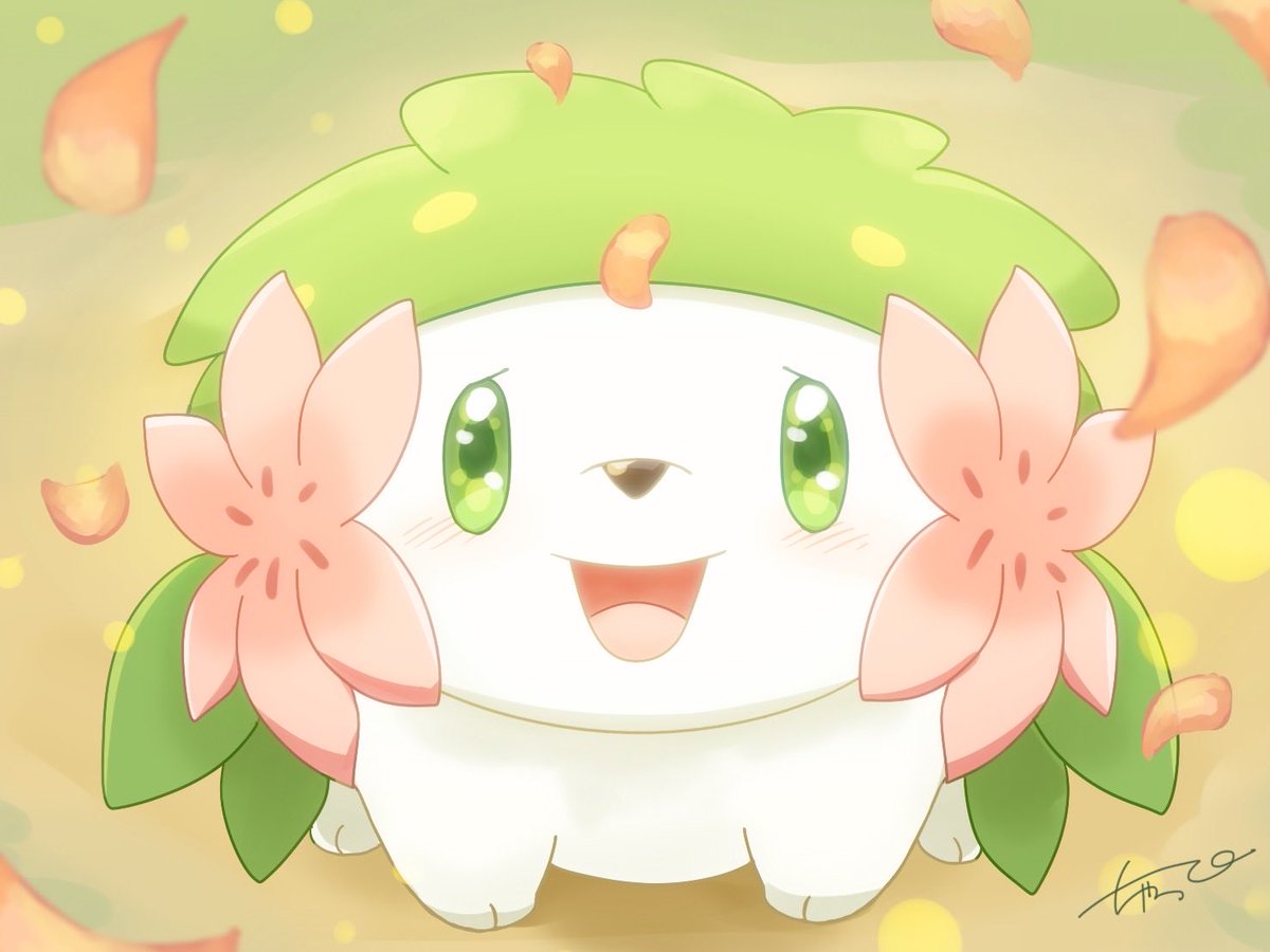 ちゃっぴー🐰 tweet media