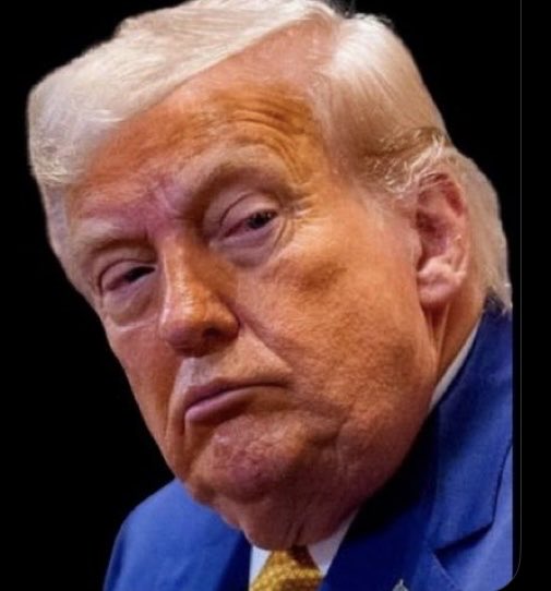 Captain Obvious™️ tweet media