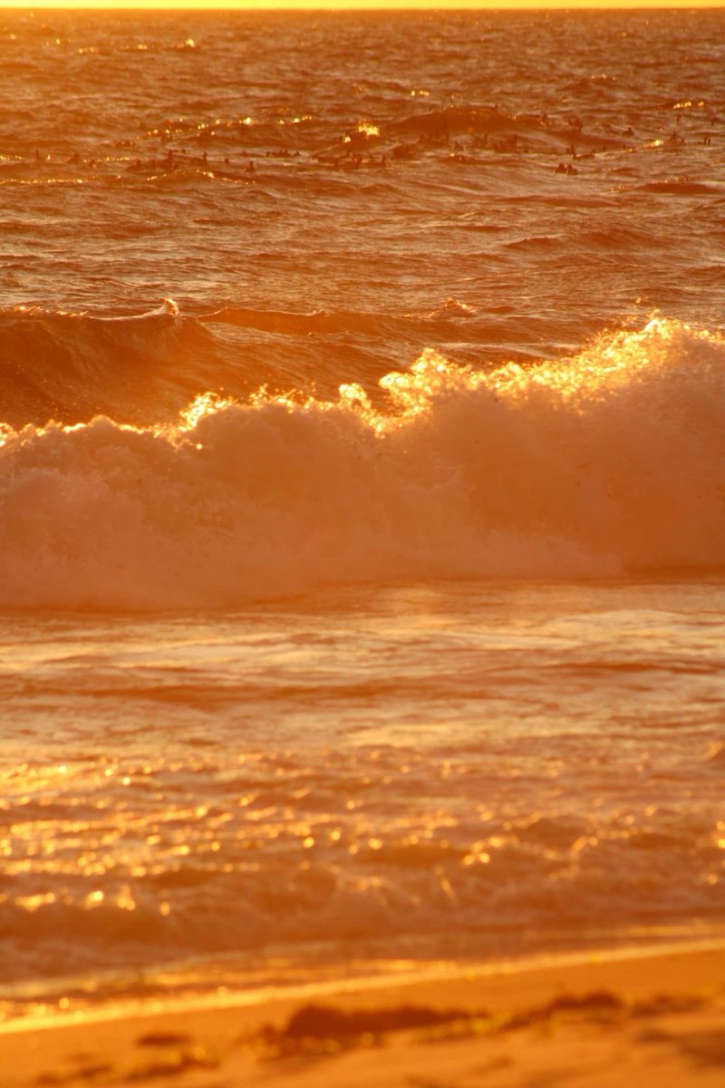 𝙈𝙖𝙧𝙮 tweet media