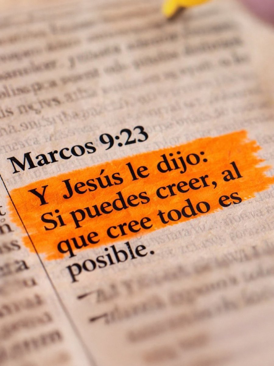 Acción Literaria. tweet media