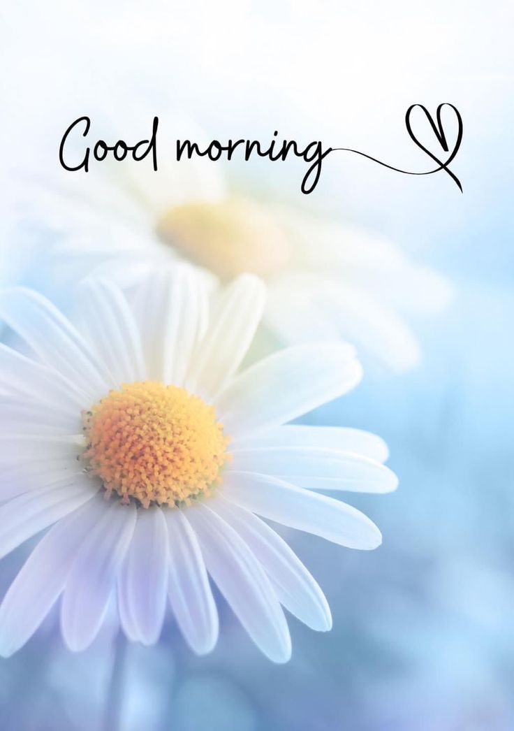 renew_lporter08's tweet image. Good morning, lovelies! Breathe, reflect, and embrace the stillness of the day. Be intentional. Reconnect with your mind, body, and spirit. #GoodMorning #Reflection