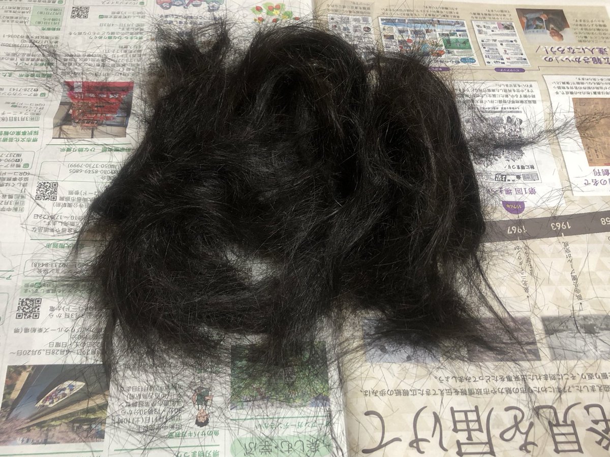 P-BOY カモの申し子 tweet media