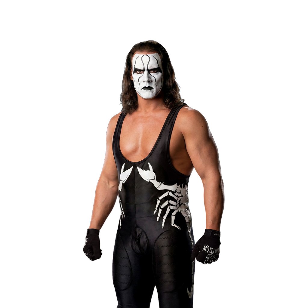 Thanks to @V_Mozz I had this great Wolfpac Sting render to work
