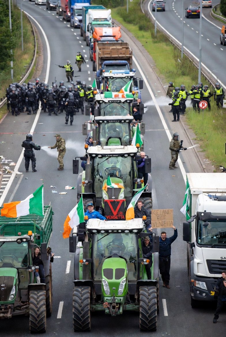 THE IRISH REBEL 🍀 tweet media