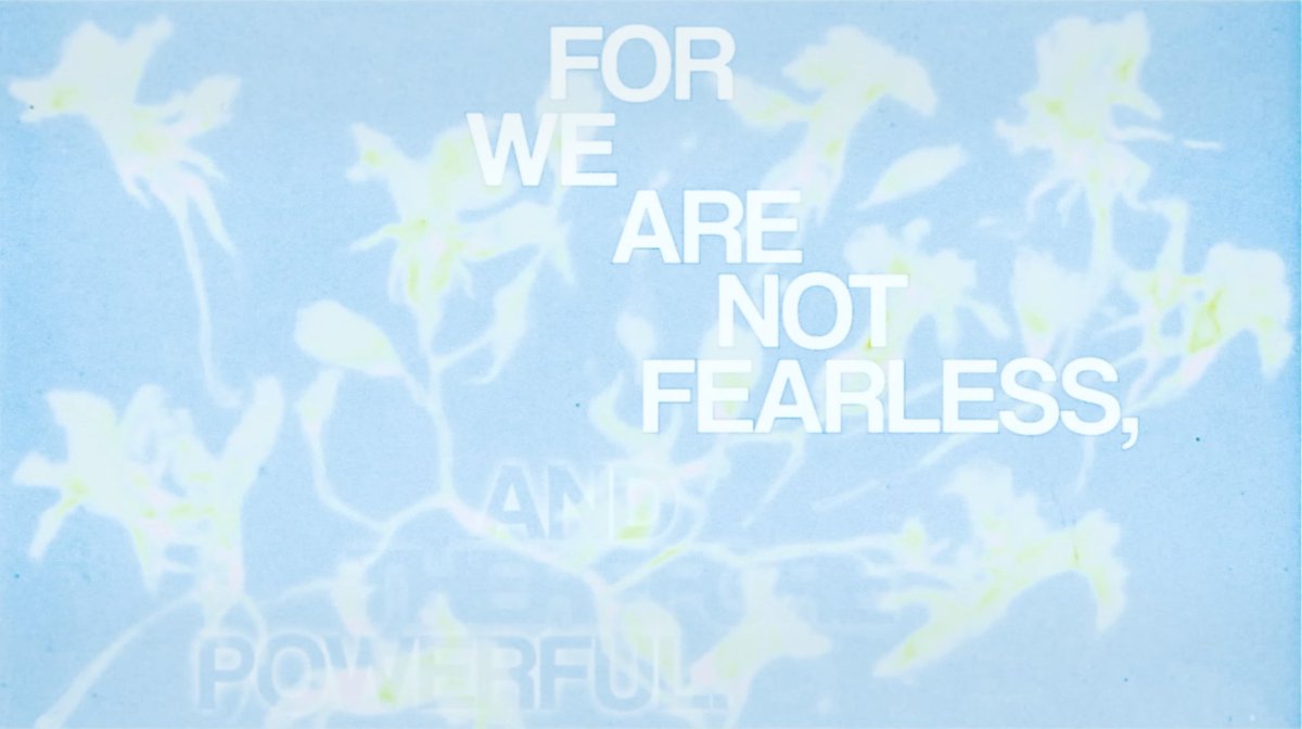 gabrii 🪽🎉 tweet media