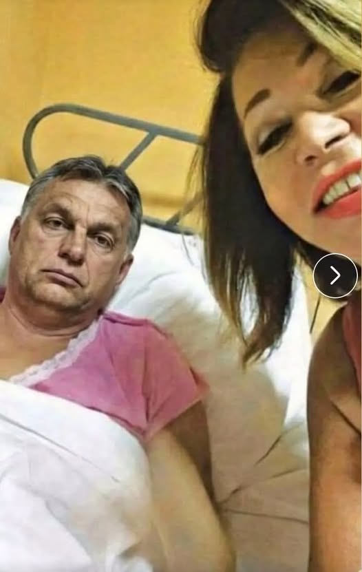 Mirjana Mimica tweet media