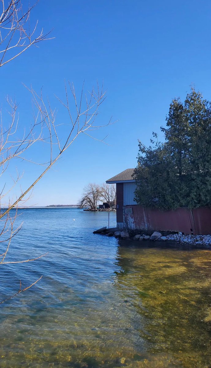 Lost Sounds tweet media