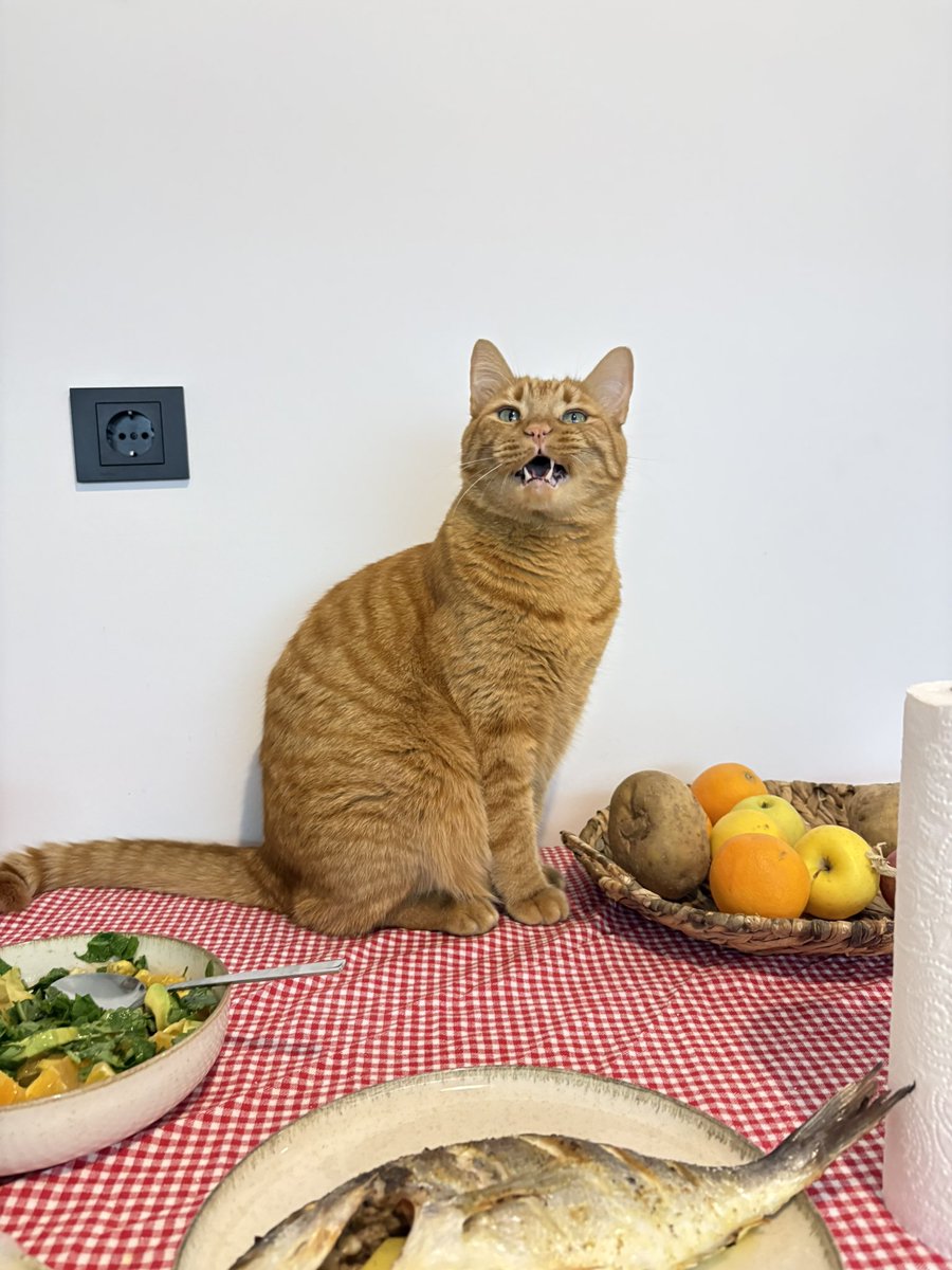 Maya Taç tweet media