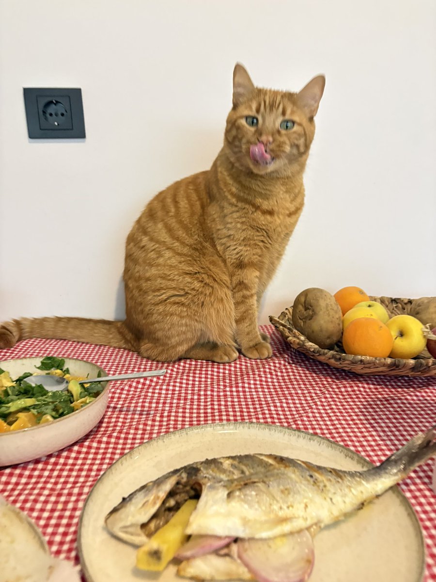 Maya Taç tweet media