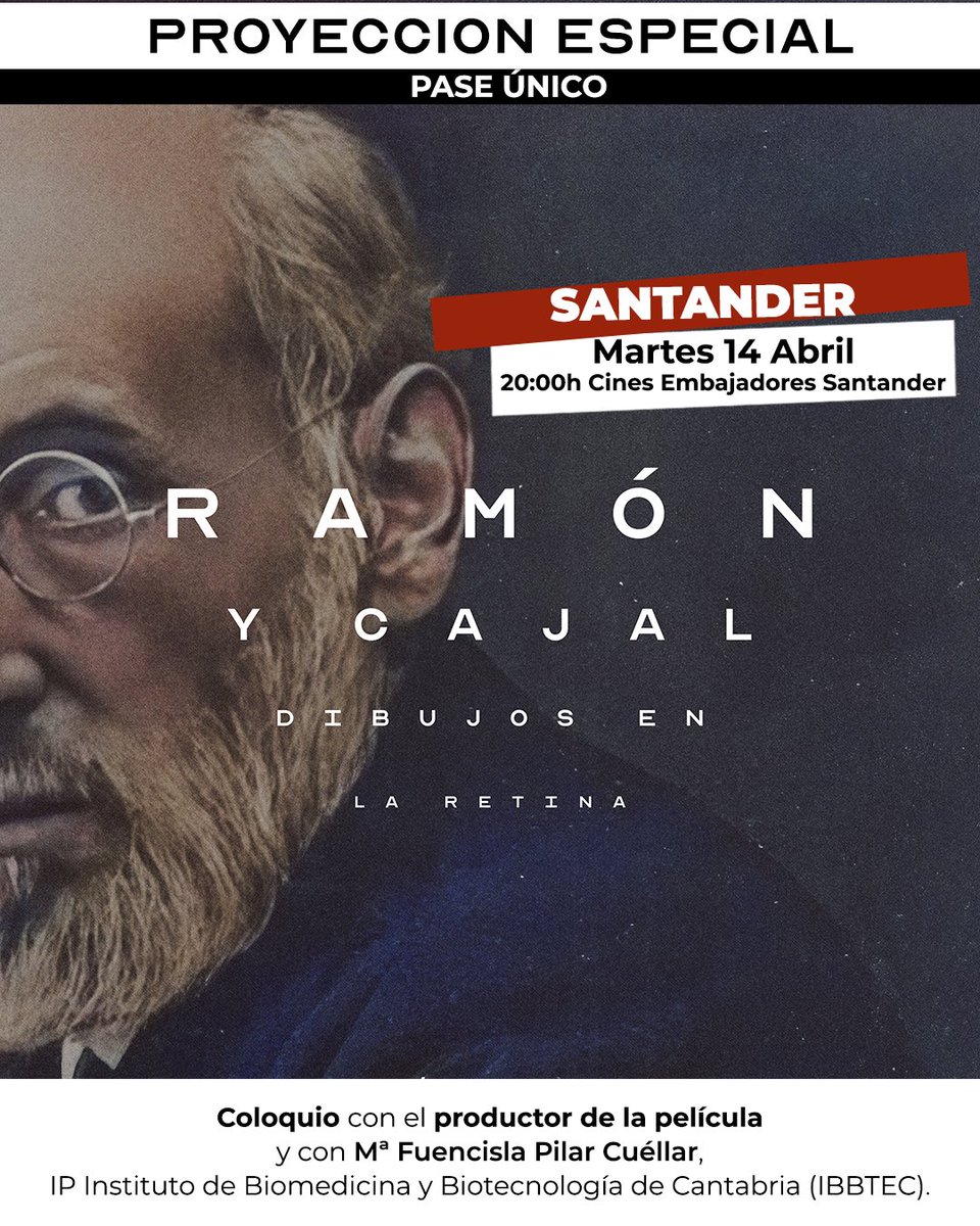 Zerkalo Films tweet media