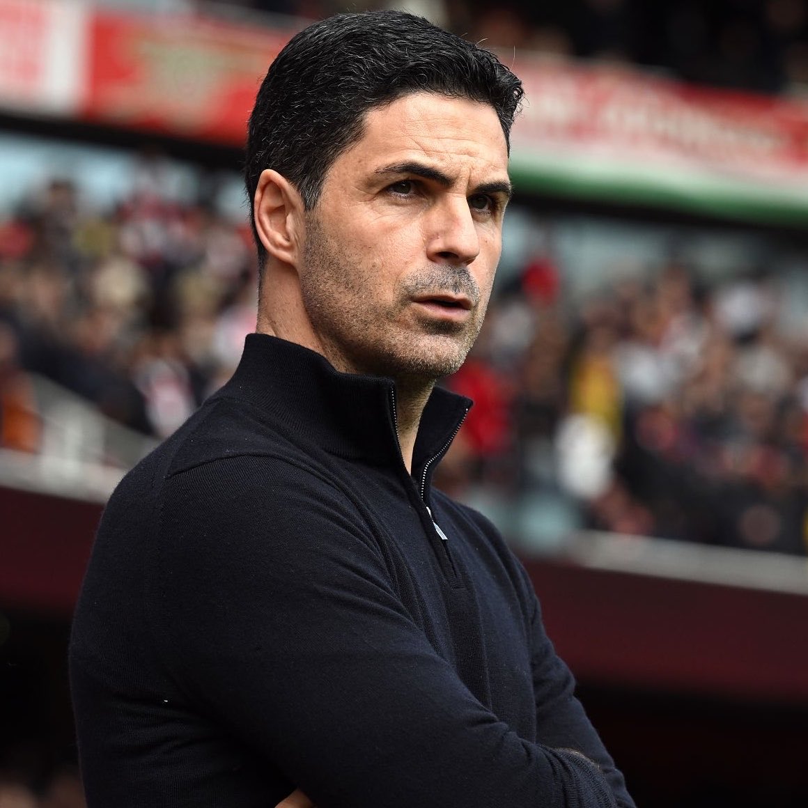 DailyAFC tweet media