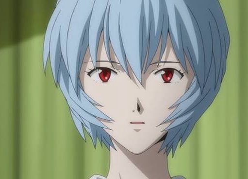 Janua Caeli tweet media