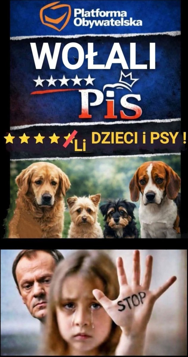 Monter 🇵🇱✝️🐺 tweet media