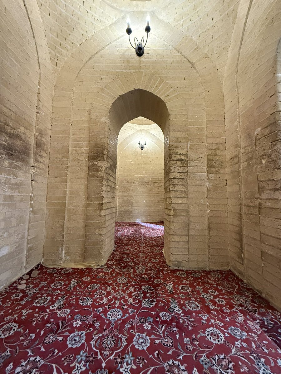 اماندا الياسري tweet media