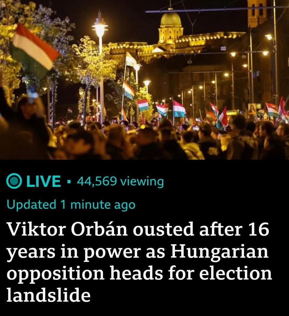 Humongous Ape MP tweet media