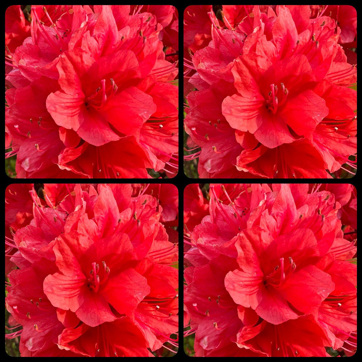 むっちゃん tweet media