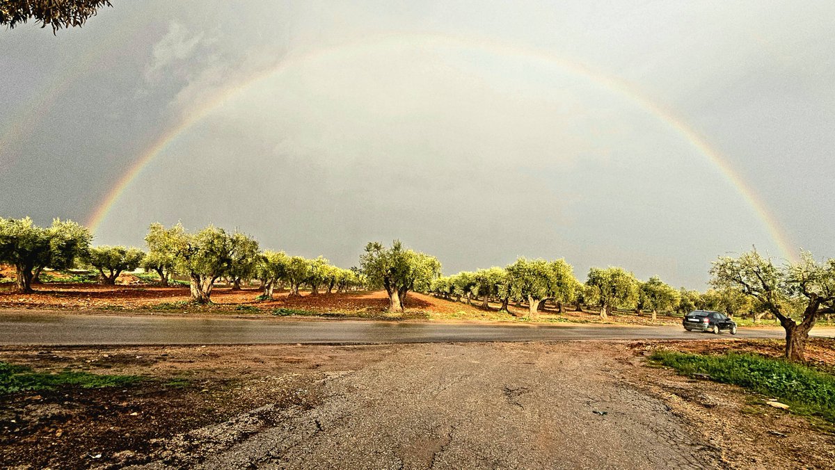 Rojava Network tweet media