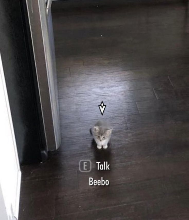 ☆𝒟𝓊𝓈𝓀☆ tweet media