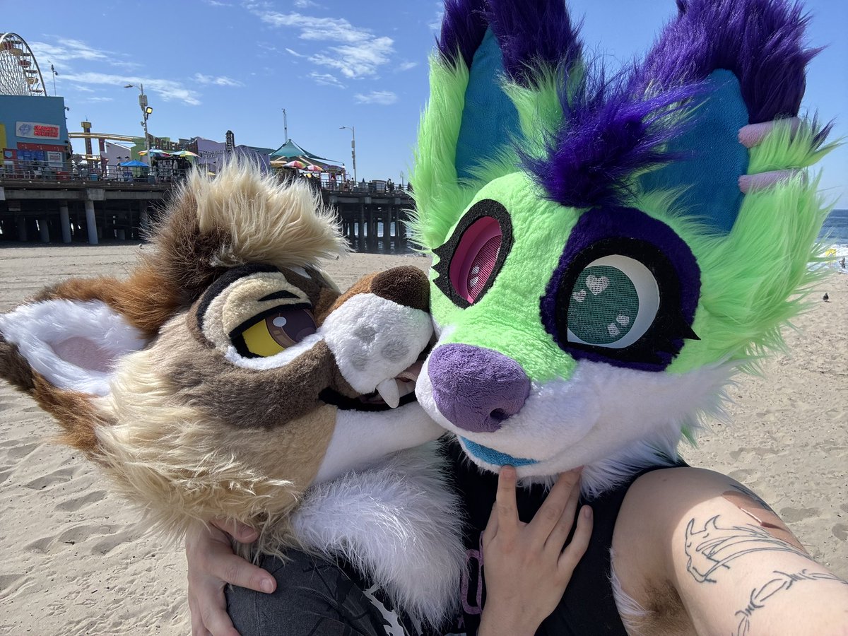 Cedar 🌵🔜 FWA tweet media