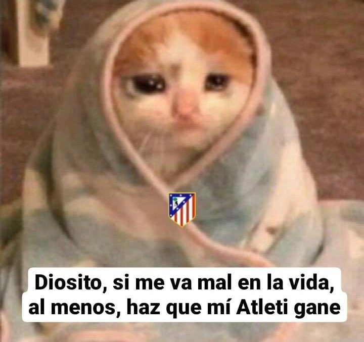 Toni🔴⚪(DEPRESIVO) tweet media