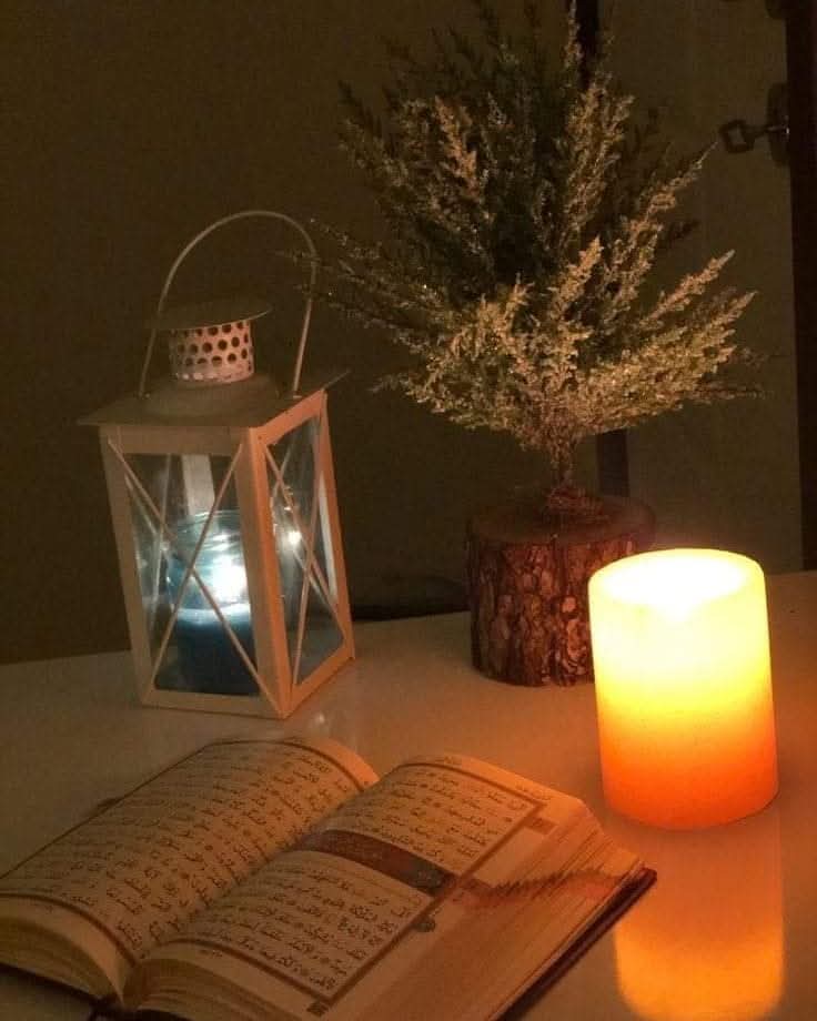 Allah Teala Firavun'a dünyanın,
Bütün mülkünü, saltanatını verdi de,
Ağrı, sızı, gam, keder vermedi.
Şunu iyi bil ki, 
Sana Allah Teala yı  hatırlatan, 
Seni inciten,gizlice Allah Teala ya,
 Yalvartıp duâ ettiren dert;
Dünya mülkünden,
Ve saltanatından daha iyidir.
Mevlana (k.s.)