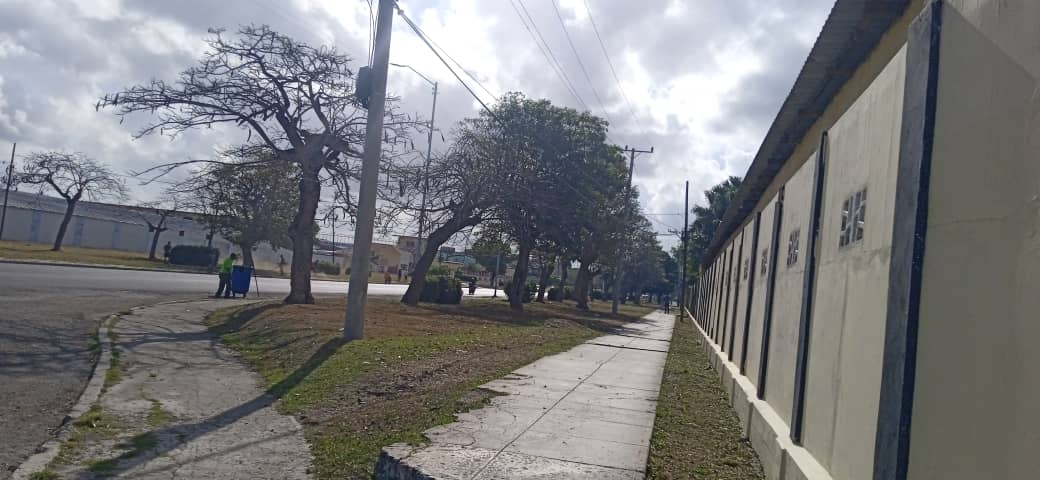 Tania Cano tweet media