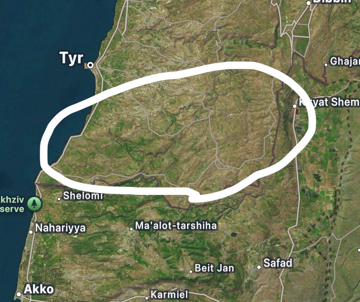 Mohamad Safa tweet media