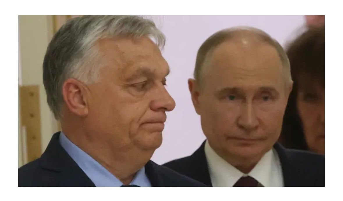 Moritz Körner tweet media