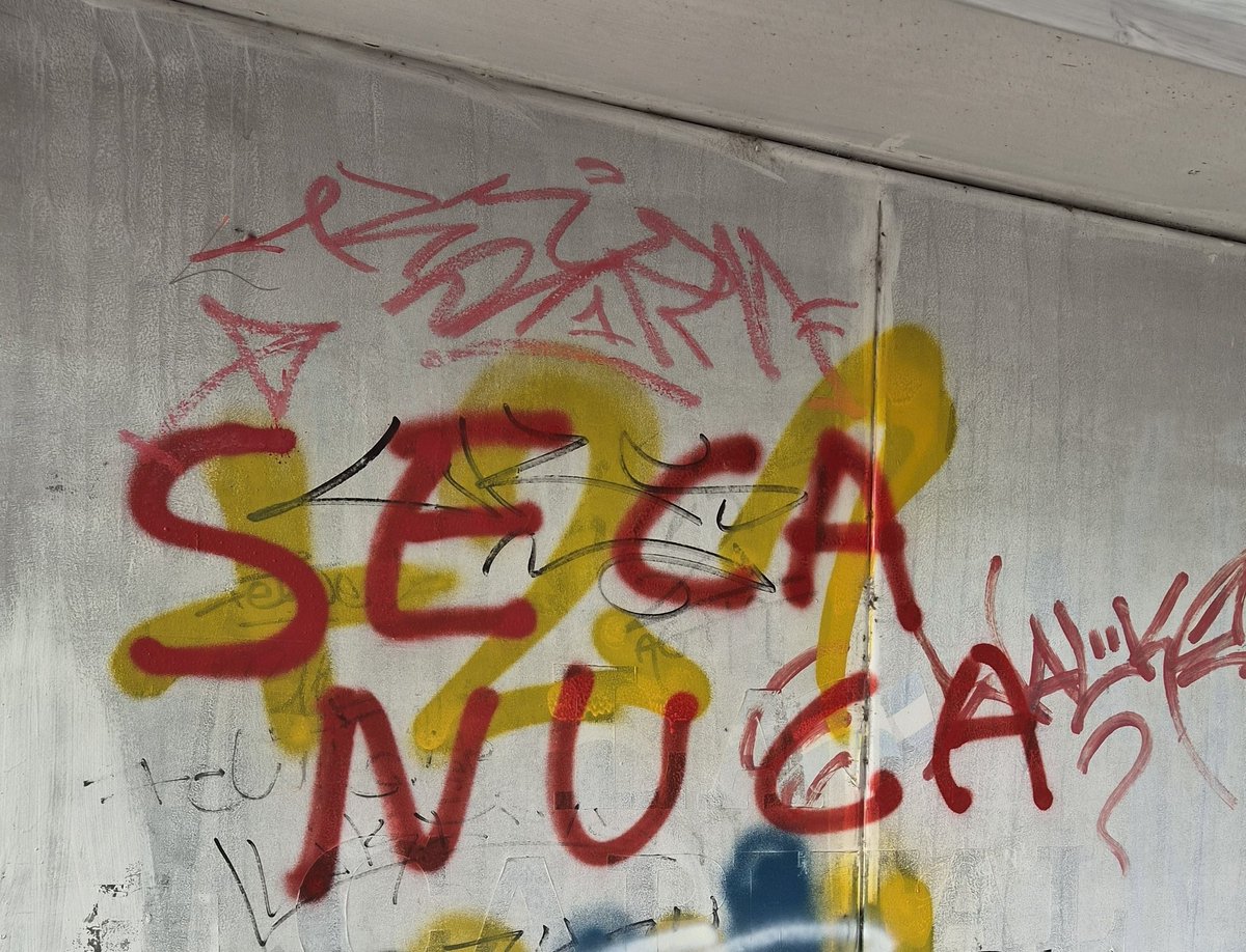 Traductor 🥹💕💐 tweet media