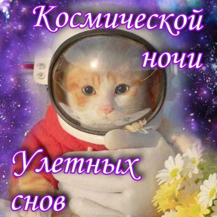 enhypen always 7🧡 tweet media