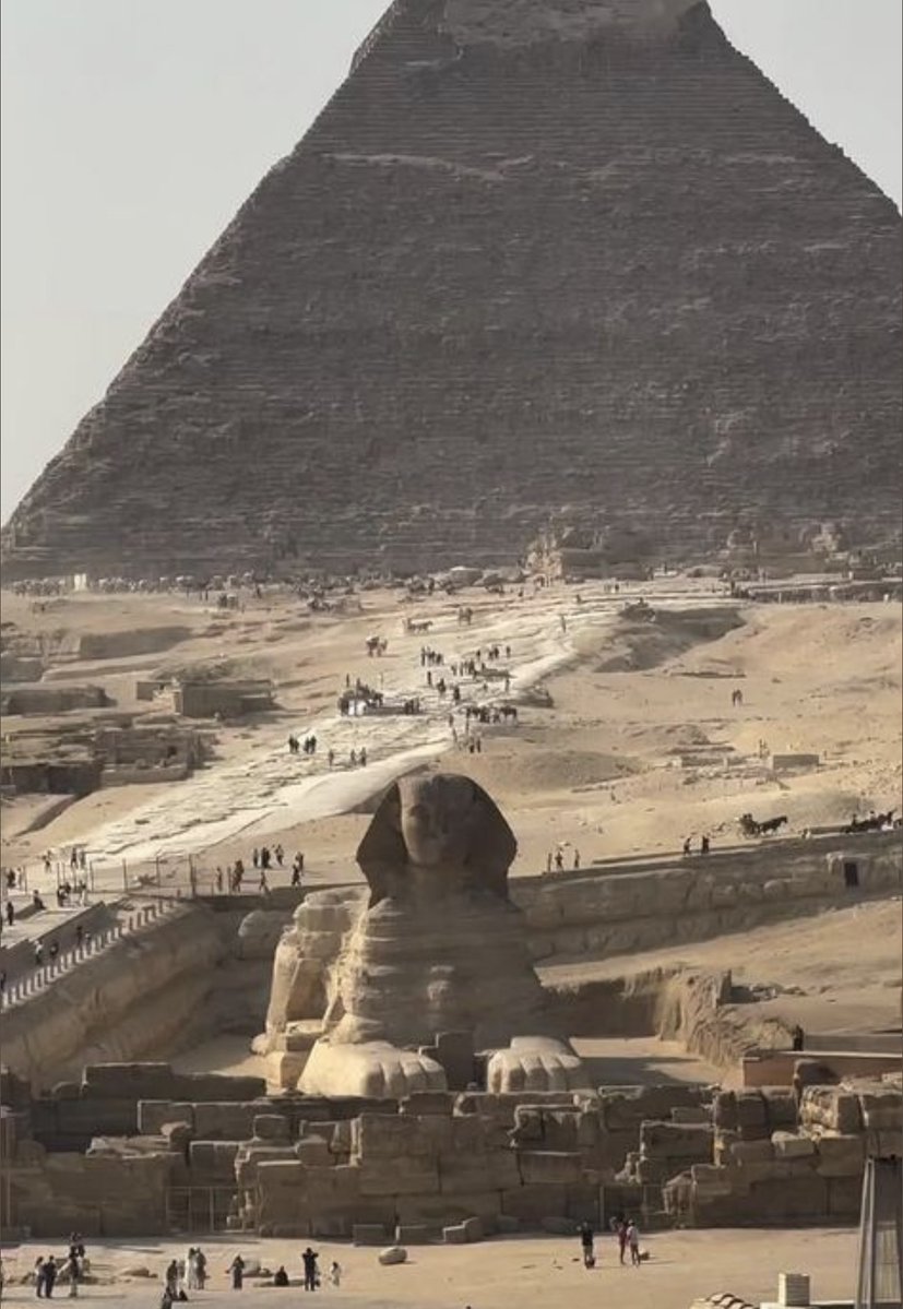 WORLD 2026 🌊 tweet media