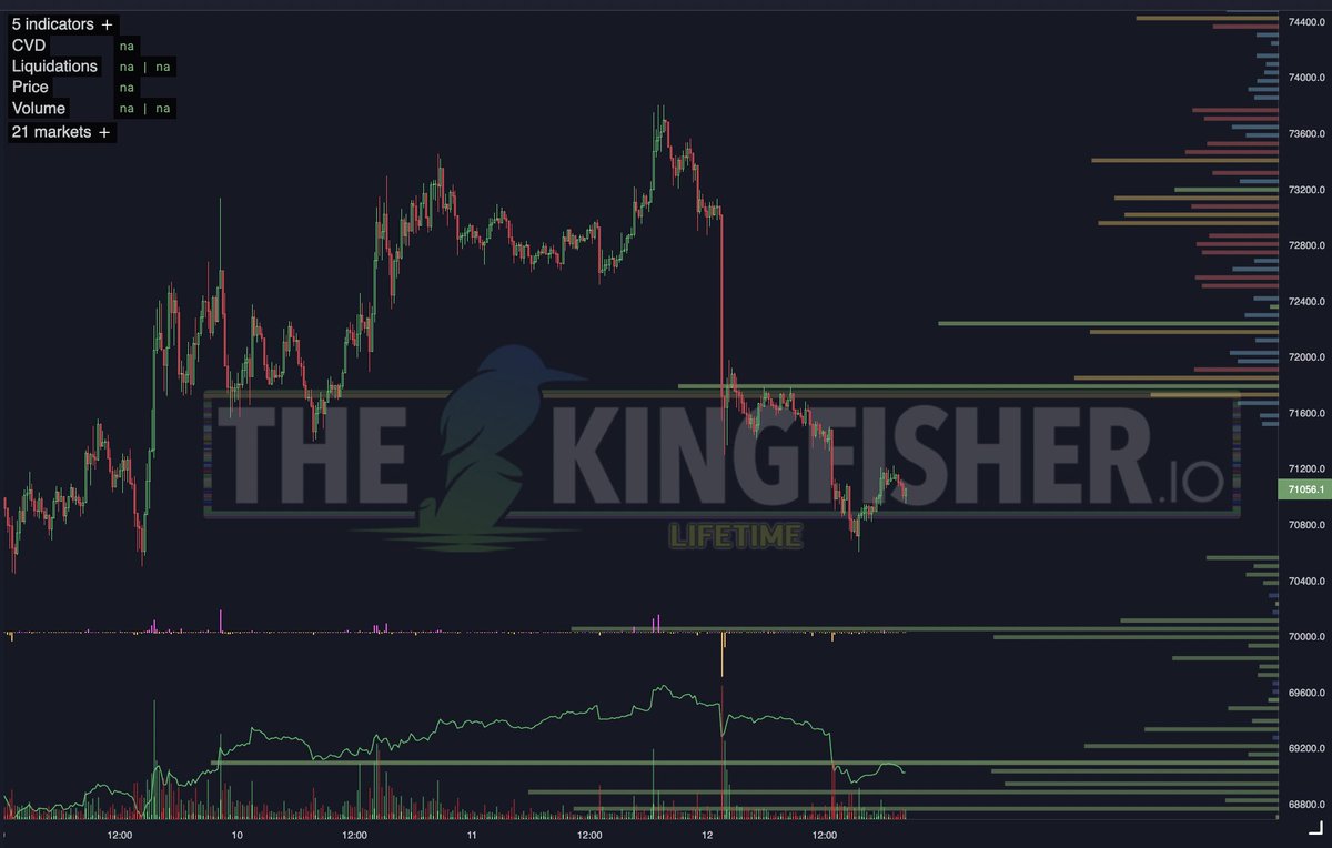 TheKingfisher tweet media