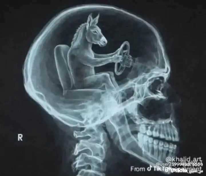 Messaoudi Moussa tweet media