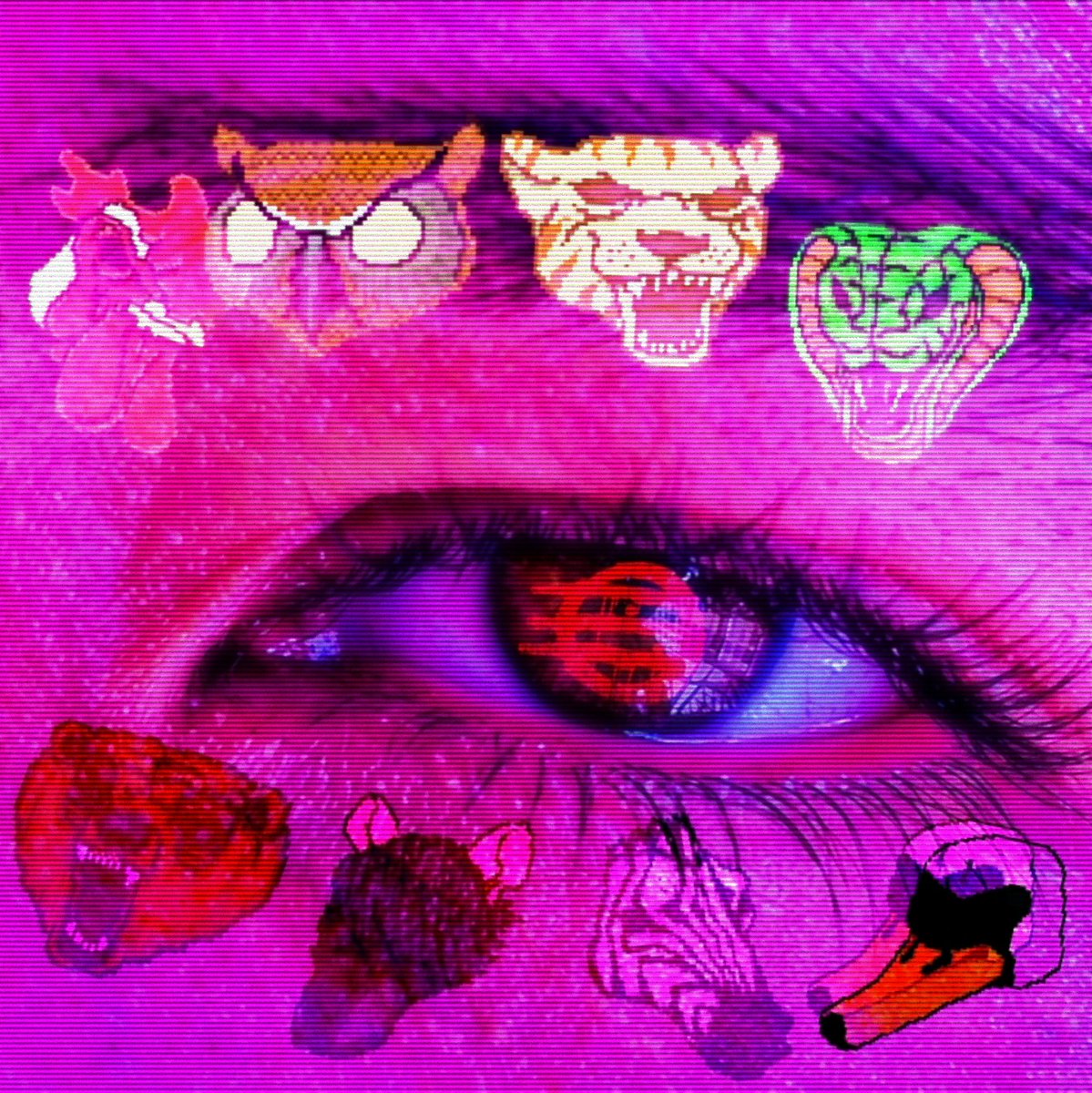 Ikros_m4p's tweet photo. Os olhos são a janela da alma
#GlitchArt #HotlineMiami #PicsArt #TrippyArt #WeirdCore #DigitalArt #NeonVibes #SurrealArt #MindVision #SurrealArt #DreamCore #WeirdCore #TrippyArt https://t.co/uEp4775FRf