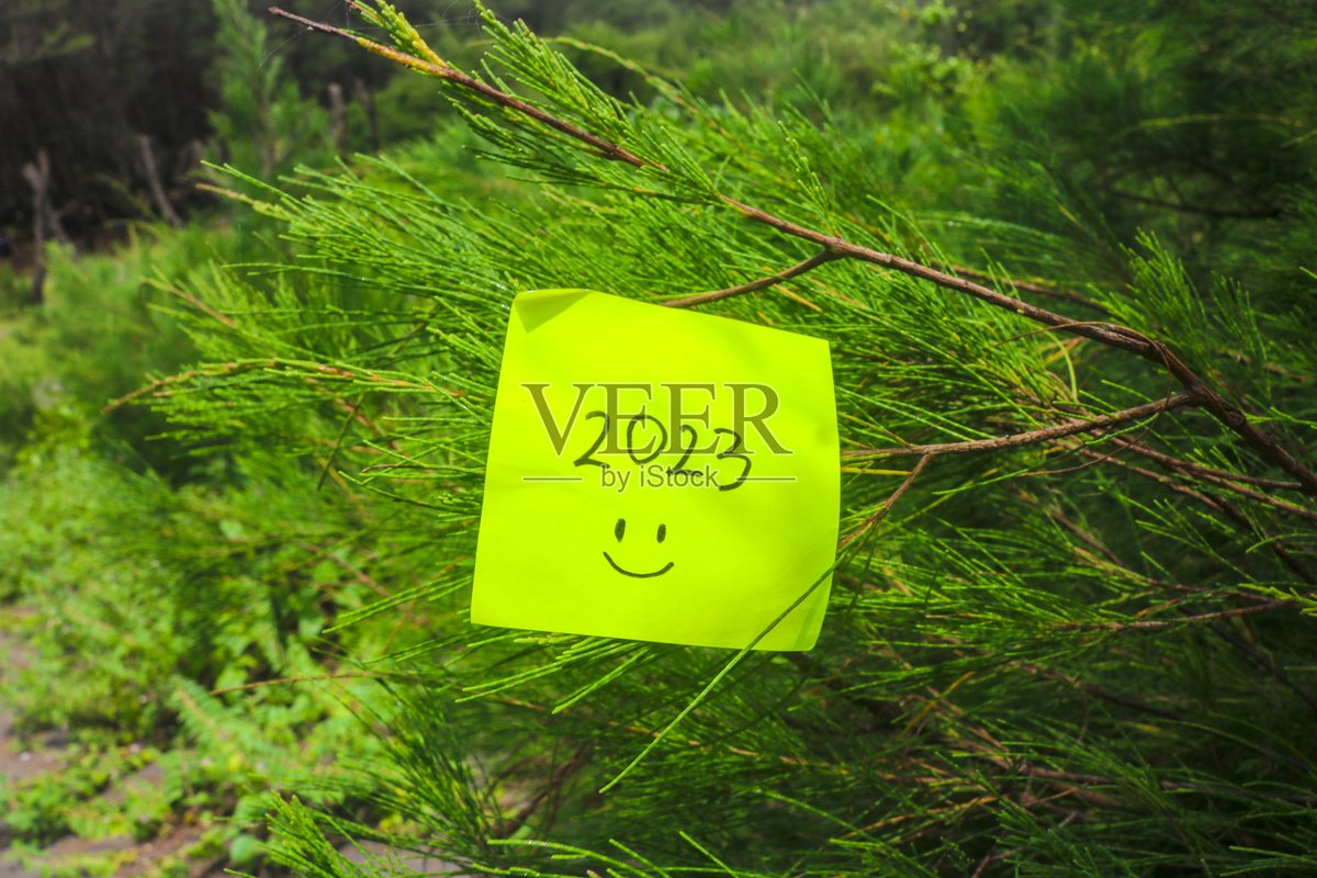 Rory Kellermann tweet media