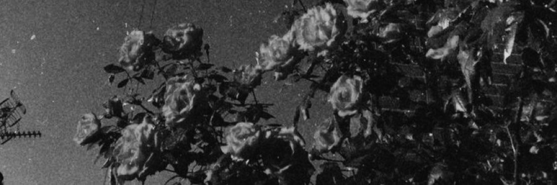 “Sen ateşteydin ibrahim, sorana gül bahçesindeyim diyordun.”