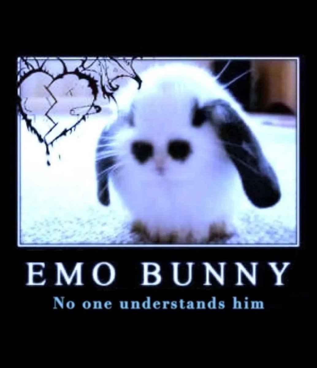 brainrot dimension tweet media