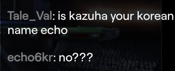 echo tweet media